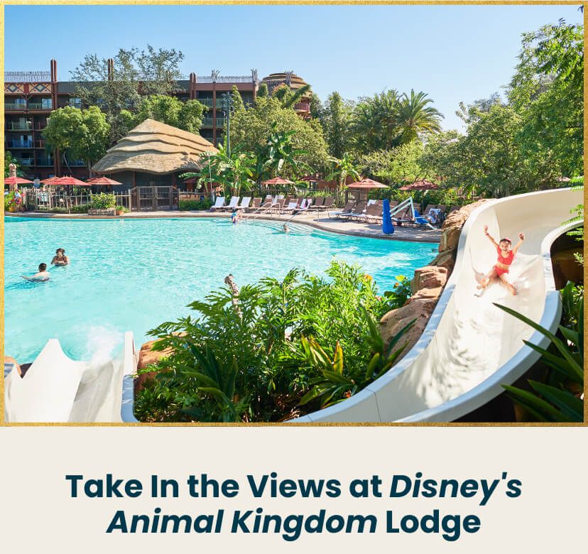 Take In the Views at Disney's Animal Kingdom Lodge