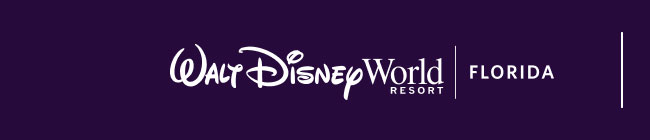 WALT DISNEY WORLD FLORIDA