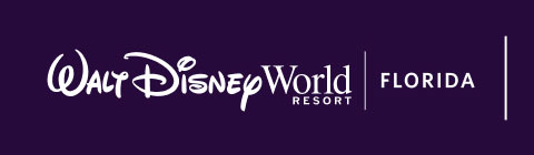 WALT DISNEY WORLD FLORIDA